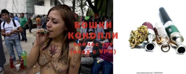 спиды Арсеньев