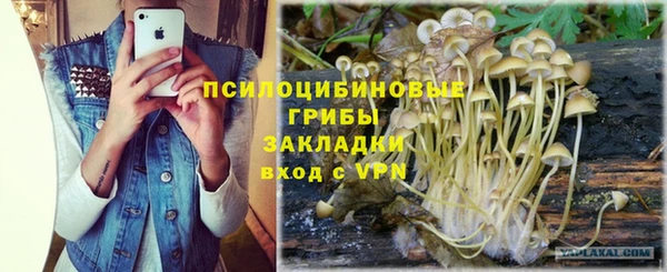спиды Арсеньев